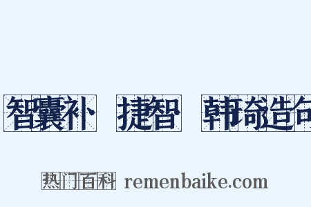 智囊补·捷智·韩琦造句是什么意思的图片